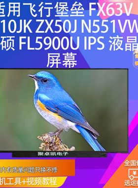 适用飞行堡垒 FX63v R510JK ZX50J N551VW 华硕 FL5900U IPS 屏幕