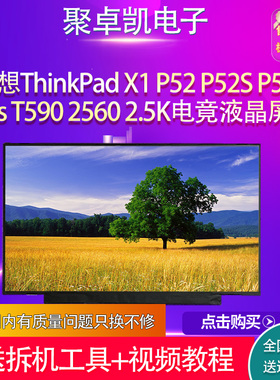 适用联想ThinkPadX1P52 P52S P53 P53s T590 2560165HZ 2560 屏幕