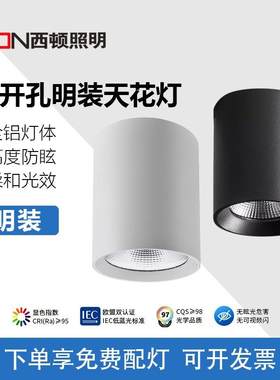 明装免开孔吸顶客厅卧室走廊射灯