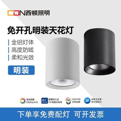 明装免开孔吸顶客厅卧室走廊射灯