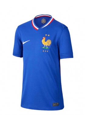 nike/耐克大童欧洲杯法国主场球迷版运动休闲短袖T恤FJ1583-452