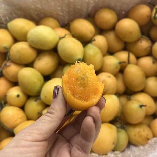 现货新品种当季泰国枇杷芒1-4斤装迷你小芒果纯甜新鲜水果发顺丰