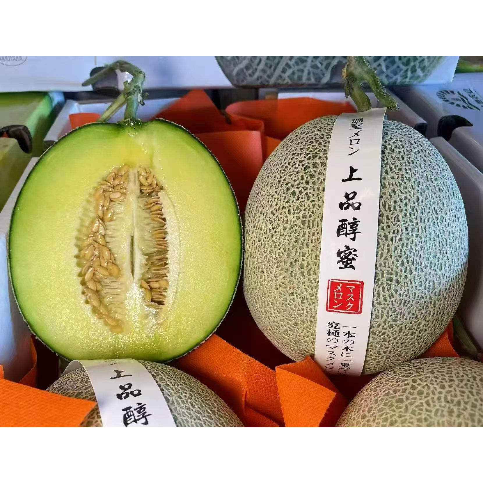上品醇蜜网红蜜瓜哈密瓜静冈凌网纹瓜香甜玫珑瓜顺丰发货
