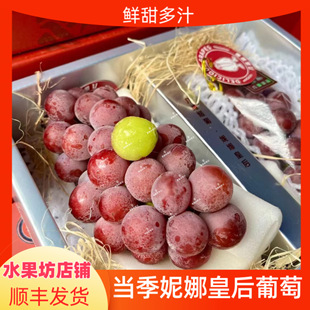 当季妮娜皇后葡萄新鲜香甜红宝石提子孕妇贵族水果1-5斤顺丰发货