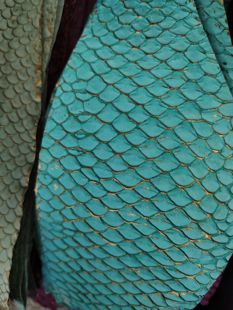 彩色金边鲤鱼皮10*25cm形状如图手工镶嵌饰品钱包耳钉发卡真皮料A