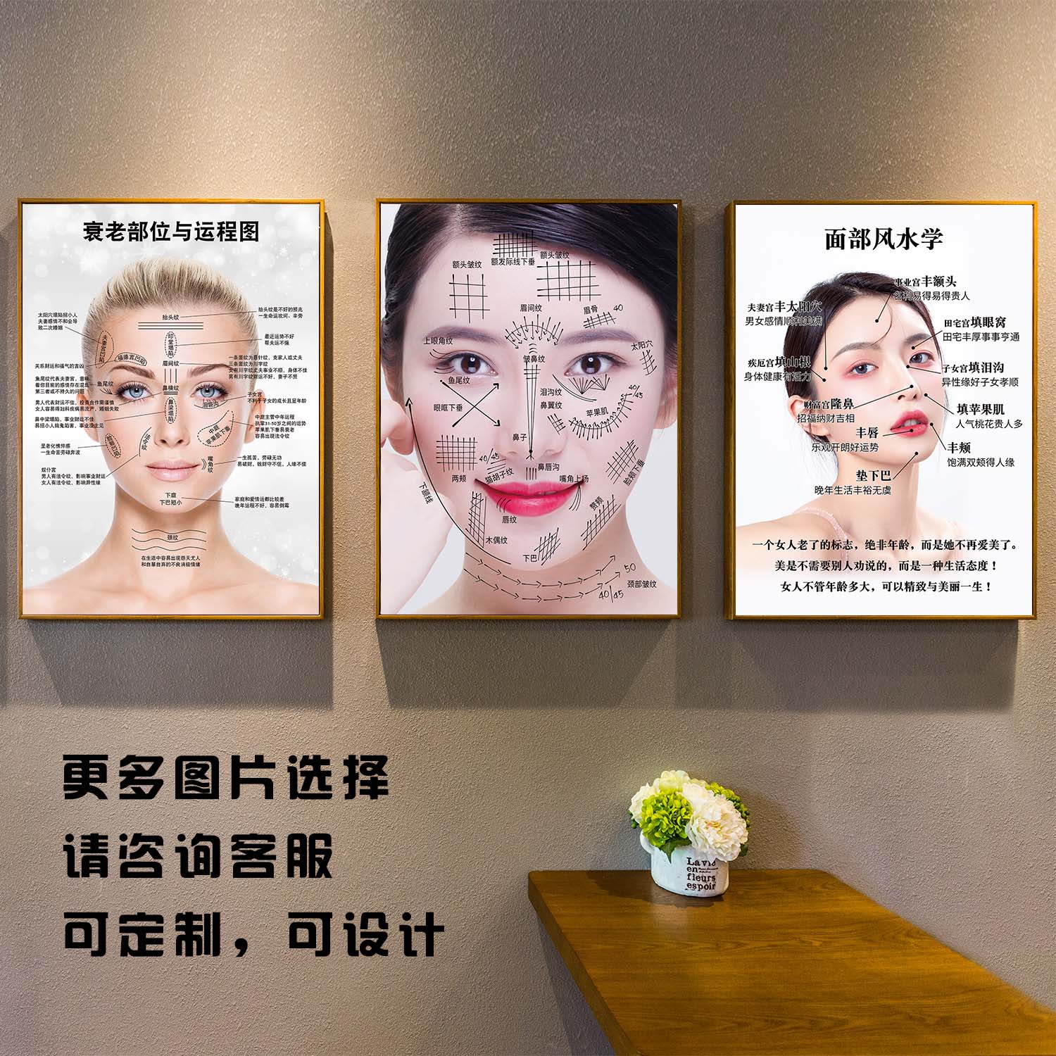 面部风水学美学人脸图去皱纹十二宫运程图面诊线雕三庭五眼去眼袋