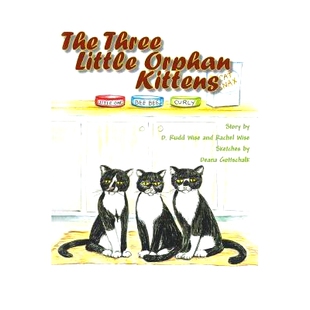 Kittens 预订 9781682568743 Orphan Little The Three