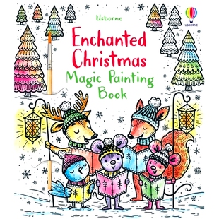 Enchanted Book Christmas Painting 9781805078708 Magic 预订
