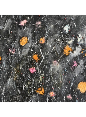 预订 Monika Kus-Picco: Floating 莫妮卡·库斯-皮科：漂浮: 9783903439542