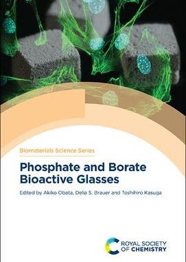 [预订]Phosphate and Borate Bioactive Glasses 9781839161643