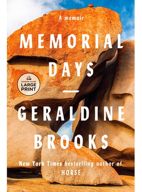 预订 Memorial Days: A Memoir 阵亡将士纪念日: 9798217067633