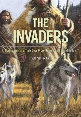 【预订】The Invaders 9780674975415