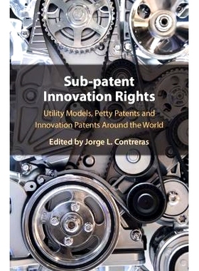 预订 Sub-Patent Innovation Rights: Utility Models, Petty Patents and Innovation Patents Around the World 子专利创新权利