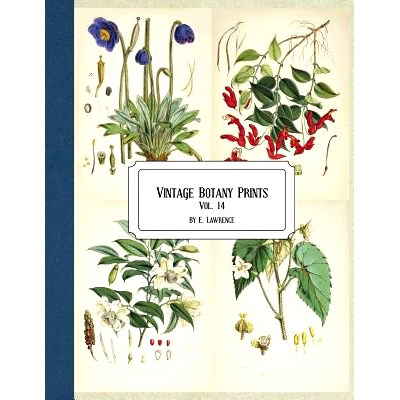 预订 Vintage Botany Prints: Vol. 14: 9781724534514
