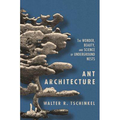 预订 Ant Architecture - The Wonder, Beauty, and Science of Underground Nests蚂蚁建筑: 9780691179315