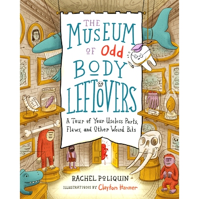 预订 The Museum of Odd Body Leftovers: A Tour of Your Useless Parts, Flaws, and Other Weird Bits