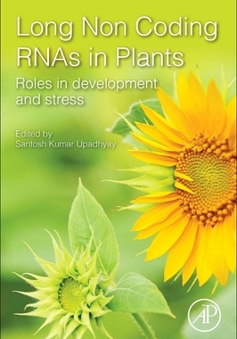【预订】Long Non-Coding Rnas in Plants: Roles in Development and Stress