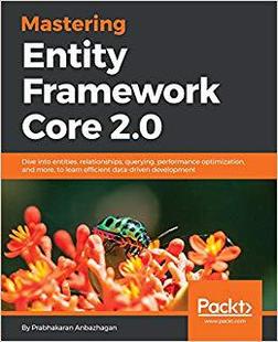 预售 Core Mastering Framework 2.0... Entity