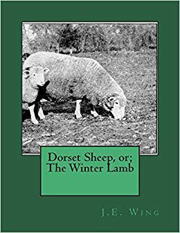 【预售】Dorset Sheep, Or; The Winter Lamb