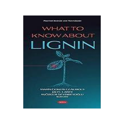 [预订]What to Know about Lignin 9781536191523