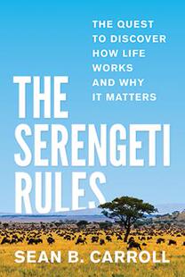 【预订】The Serengeti Rules