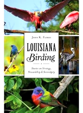 预订 Louisiana Birding: Stories on Strategy, Stewardship and Serendipity: 9781467140942