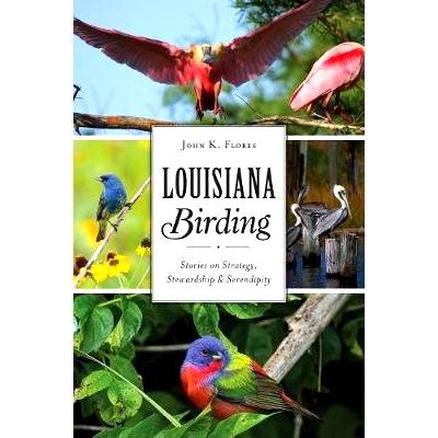 预订 Louisiana Birding: Stories on Strategy, Stewardship and Serendipity: 9781467140942