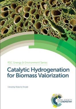 [预订]Catalytic Hydrogenation for Biomass Valorization 9781849738019