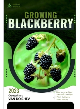 预订 Blackberry: Guide and overview: 9798865016632