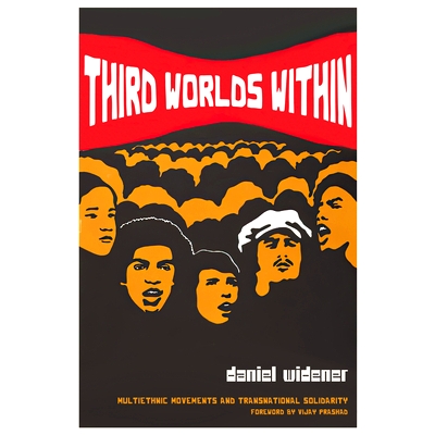 Multiethnic Movements and Transnational