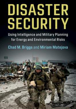 【预订】Disaster Security