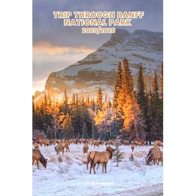 Discover the Best Attractions, Enjoy Out