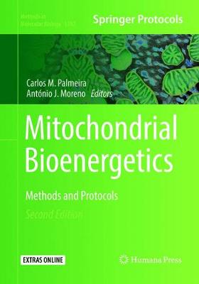 【预订】Mitochondrial Bioenergetics: Methods and Protocols