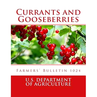 Gooseberries and Currants 9781717251428 Bulletin 1024 Farmers’ 预订