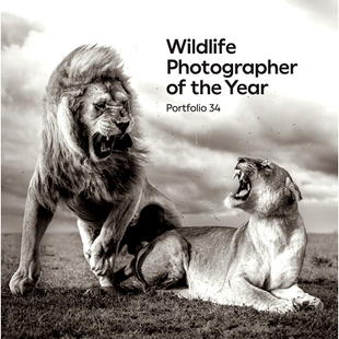 Wildlife Year 预订 Volume 卷 34：第 Photographer 9780565095642 the 年度野生动物摄影师：作品集 Portfolio