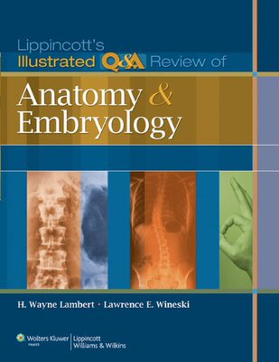 【预订】Lippincott’s Illustrated Q&A Review of Anatomy and Embryology