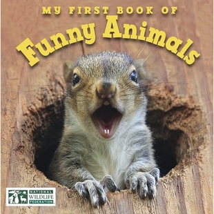 Animals 9781623540517 First Federation Wildlife National Funny Book 预订