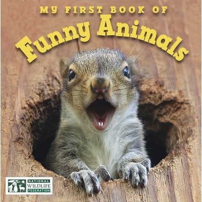 预订 My First Book of Funny Animals (National Wildlife Federation): 9781623540517