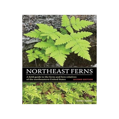 [预订]Northeast Ferns: A Field Guide to the Ferns and Fern Relatives of the Northeastern United States 9781951682712