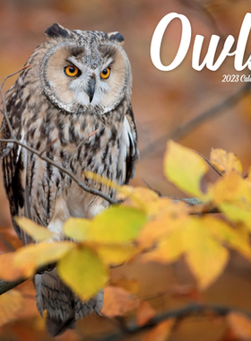 【预订】2023 Owls Wall Calendar 9781839418112