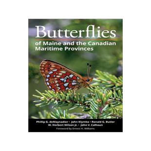 [预订]Butterflies of Maine and the Canadian Maritime Provinces 9781501768941