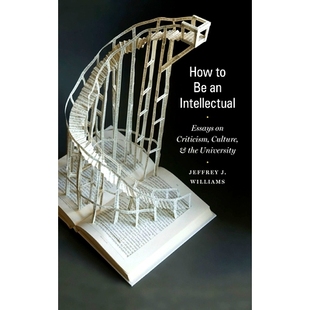 How University 文化与 预订 the Intellectual Culture Criticism Essays 如何成为知识分子：关于批判主义 and