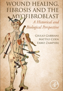【预订】Wound Healing, Fibrosis, and the Myofibroblast 9780323905466