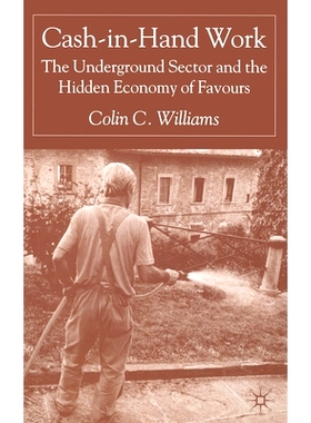 预订 Cash-In-Hand Work: The Underground Sector and the Hidden Economy of Favours: 9781349515578