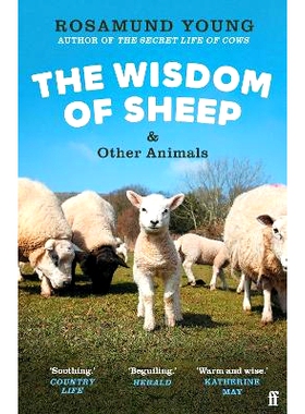 预订 The Wisdom of Sheep & Other Animals: Observations from a Family Farm 绵羊和其他动物的智慧：来自家庭农场的观察: 9780