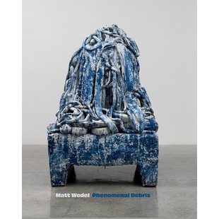 预订 Matt Wedel: Phenomenal Debris 马特·韦德尔：非凡的碎片: 9781646570331