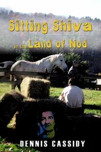 the Nod 9780997674606 Shiva Sitting 预订 Land