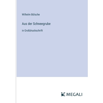 预订 Aus der Schneegrube: in Großdruckschrift: 9783387308280