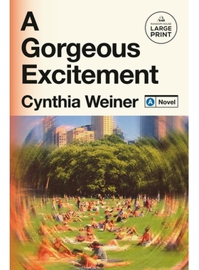 预订 A Gorgeous Excitement: A Novel 华丽的刺激: 9798217070442