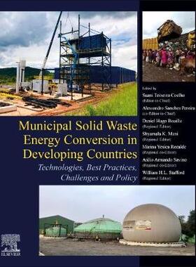 【预订】Municipal Solid Waste Energy Conversion in Emerging Countries 9780128134191